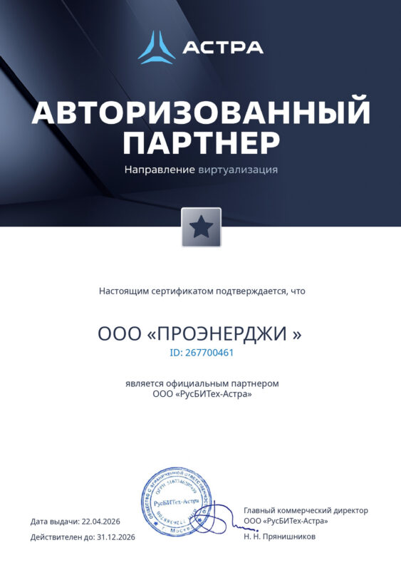 Авторизованный партнер ПРОЭНЕРДЖИ (1)_page-0002 1