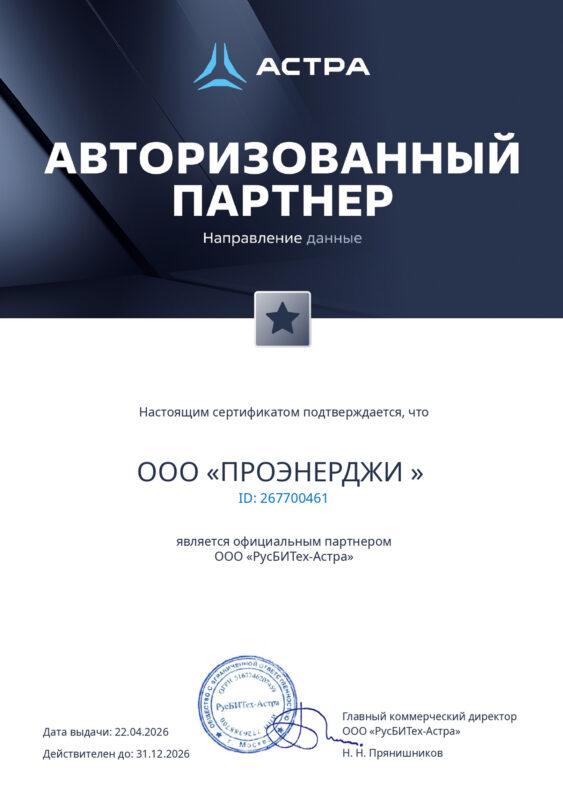 Авторизованный партнер ПРОЭНЕРДЖИ (1)_page-0003 1
